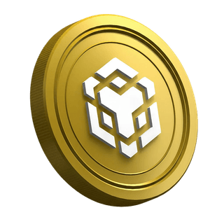 Kryptowaluta BNB na stronie poradnika dla początkujących traderów